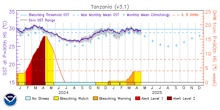 current SST time series