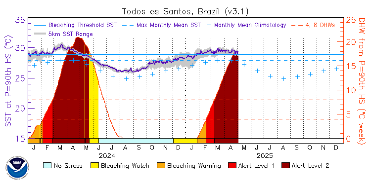 current SST time series