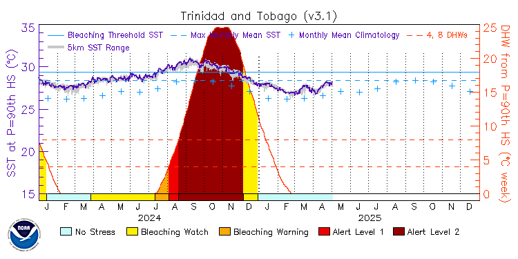 current SST time series