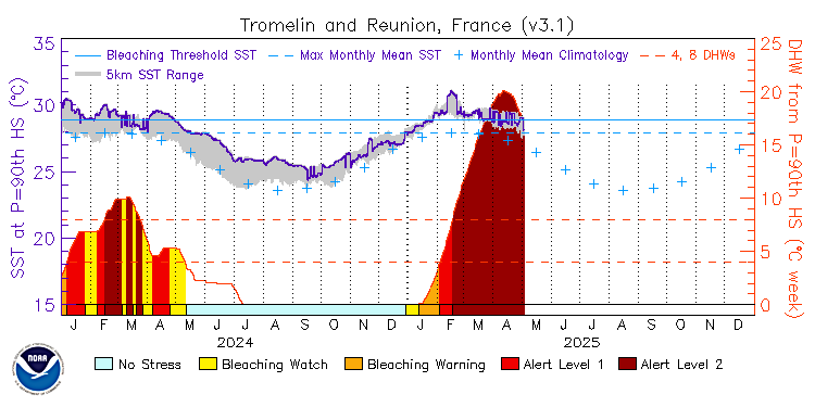 current SST time series