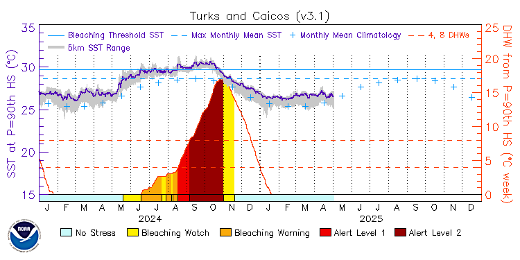 current SST time series