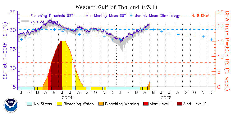 current SST time series