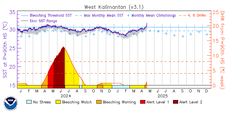 current SST time series