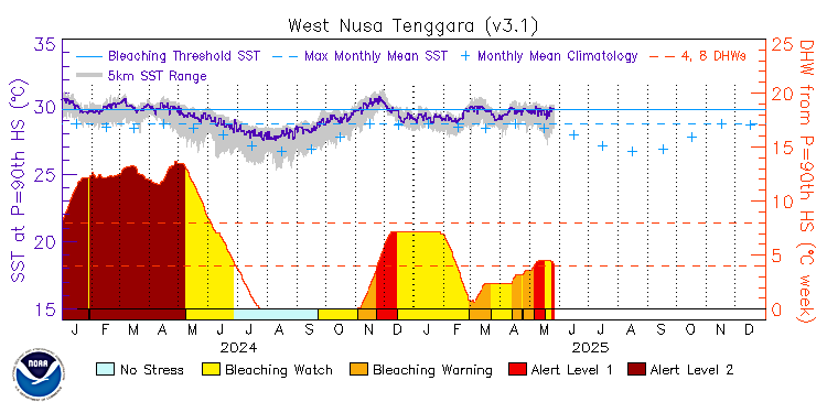 current SST time series