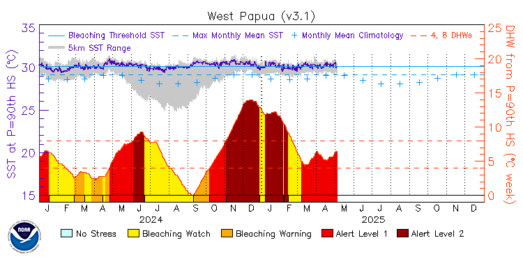 current SST time series