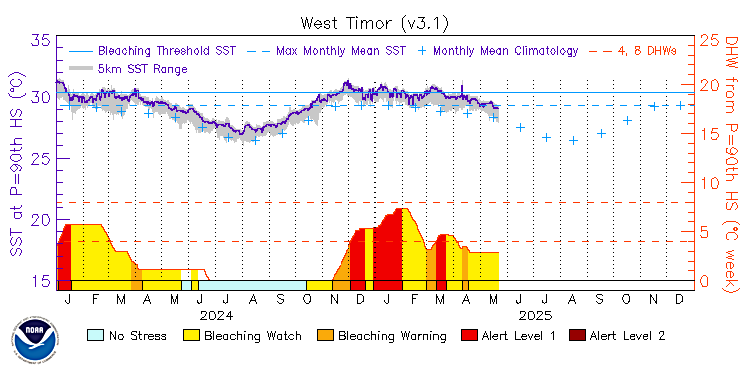 current SST time series