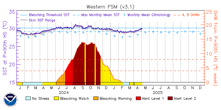 current SST time series