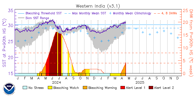 current SST time series