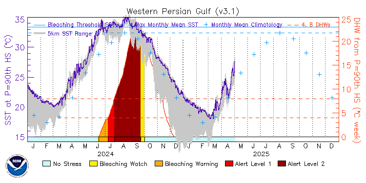 current SST time series