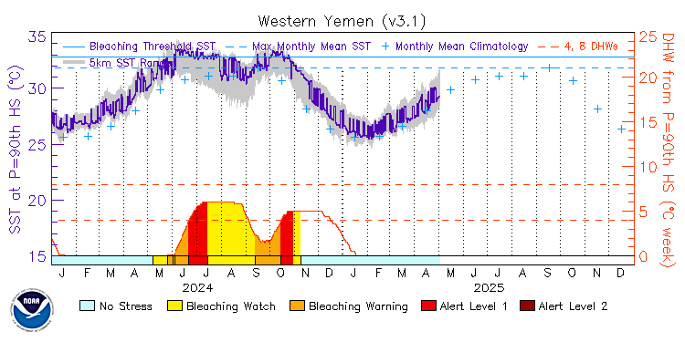 current SST time series