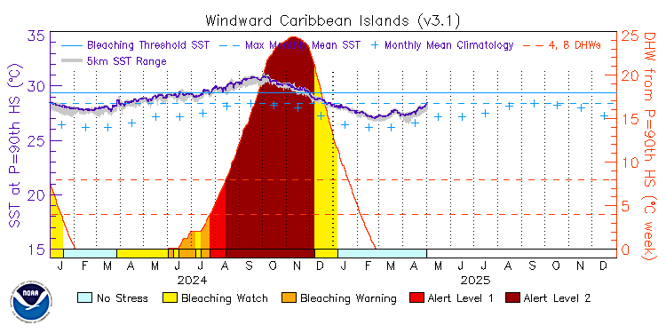 current SST time series