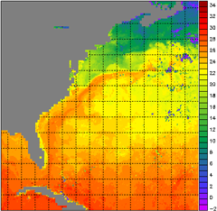 satellite SST