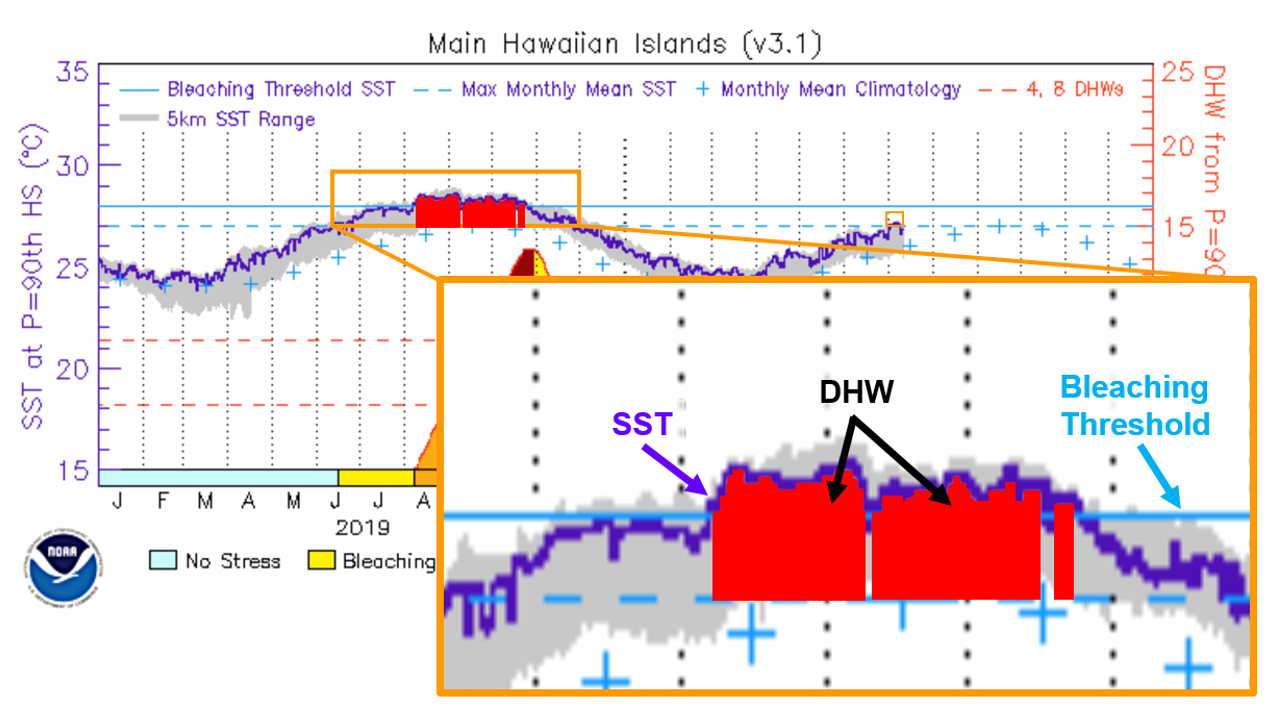 DHW time series graph 2019-2020 with highlighted DHW