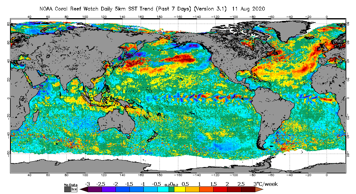 CRW Global 7-day SST Trend for Aug 11 2020