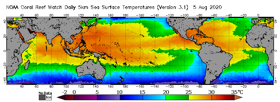 Global CoralTemp SST Aug 5 2020