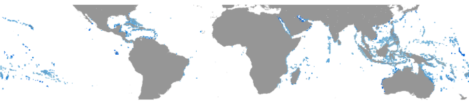 SST Variability