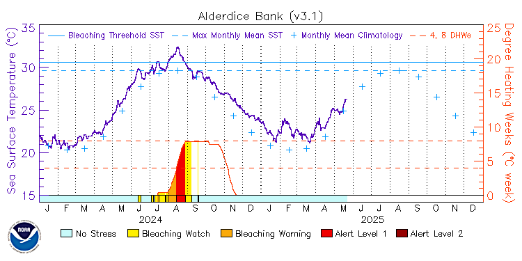 current SST time series