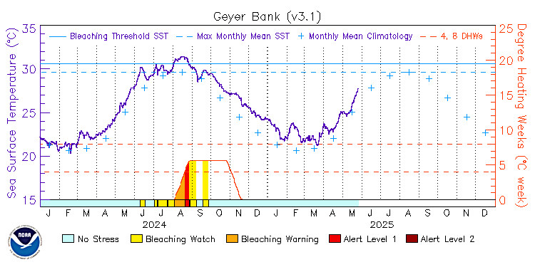current SST time series