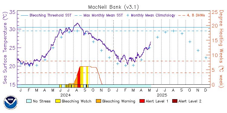 current SST time series