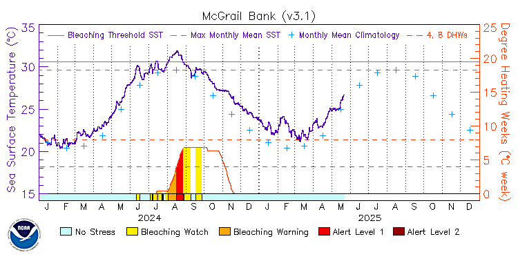 current SST time series