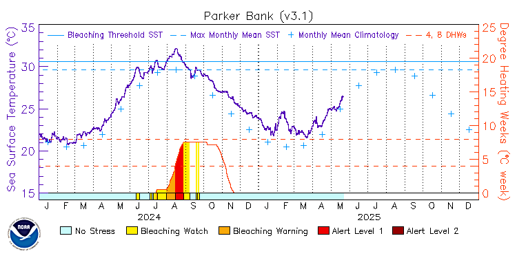 current SST time series