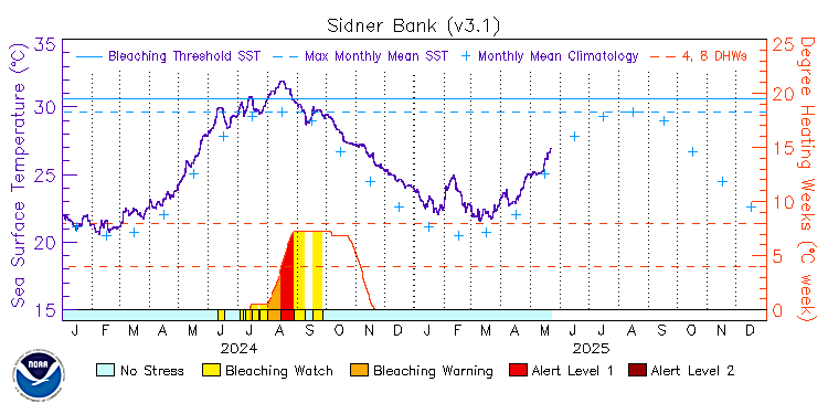 current SST time series