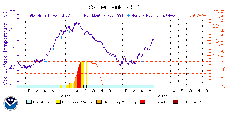 current SST time series