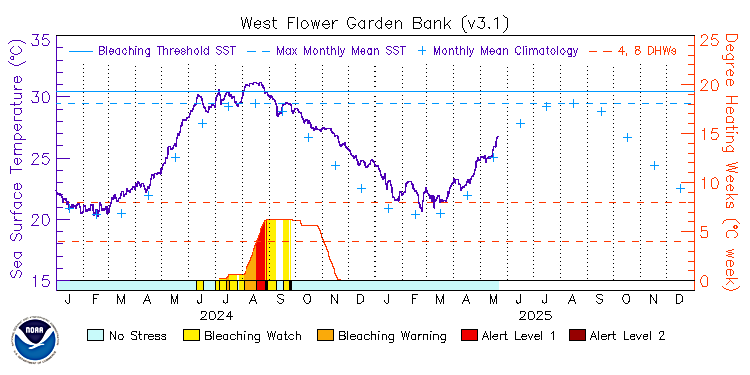 current SST time series