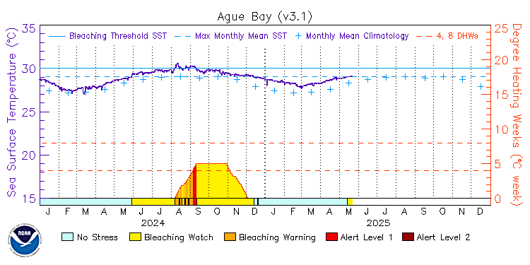 current SST time series