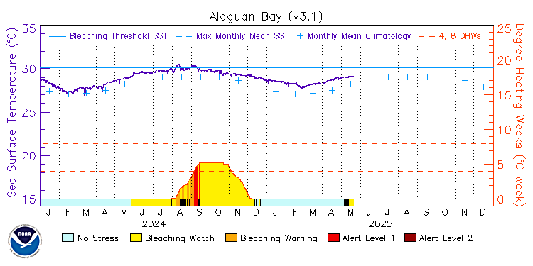 current SST time series