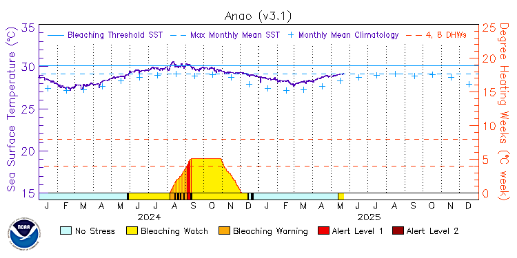 current SST time series