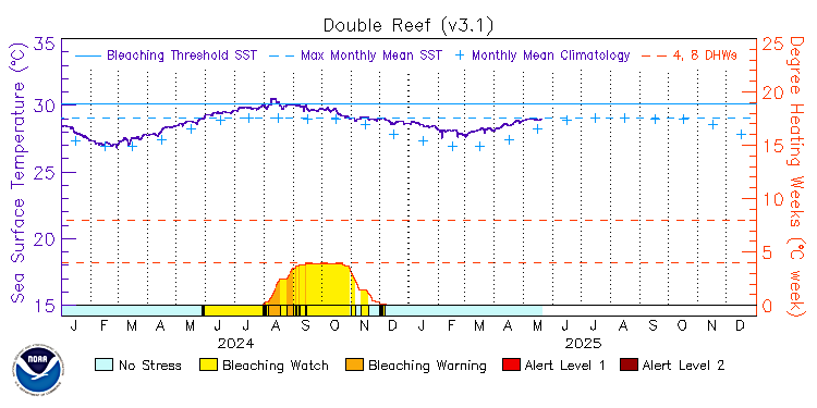current SST time series