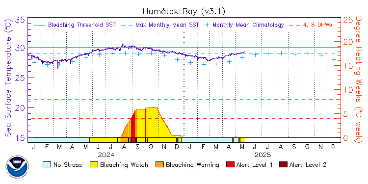 current SST time series