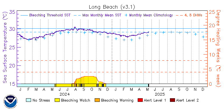 current SST time series
