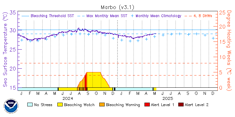 current SST time series