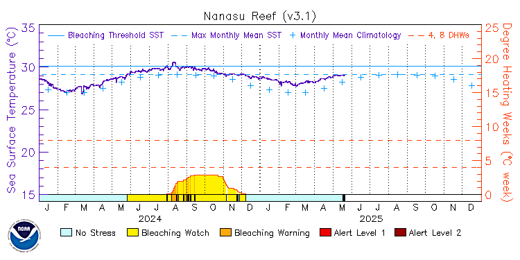 current SST time series