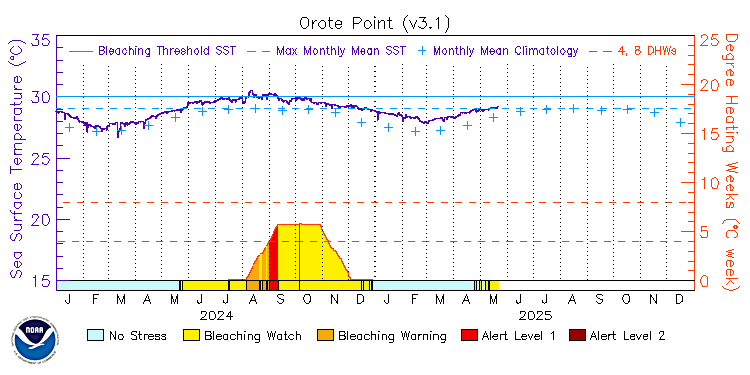 current SST time series