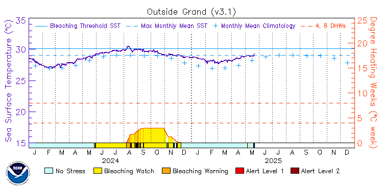 current SST time series