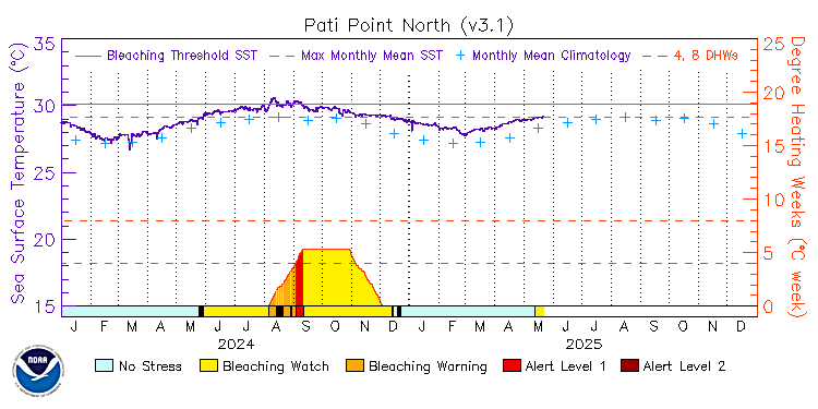 current SST time series