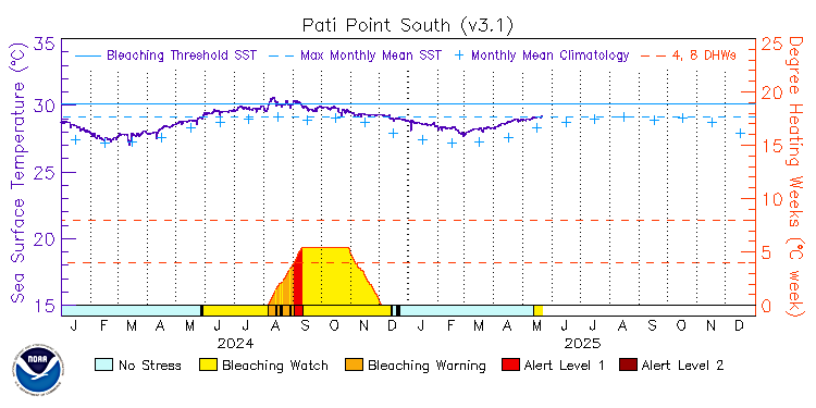 current SST time series