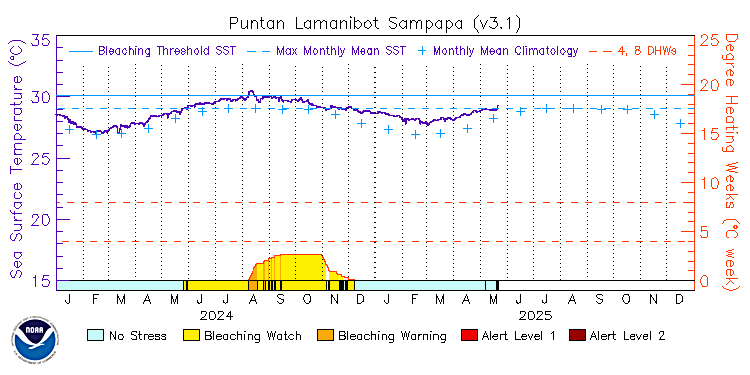 current SST time series