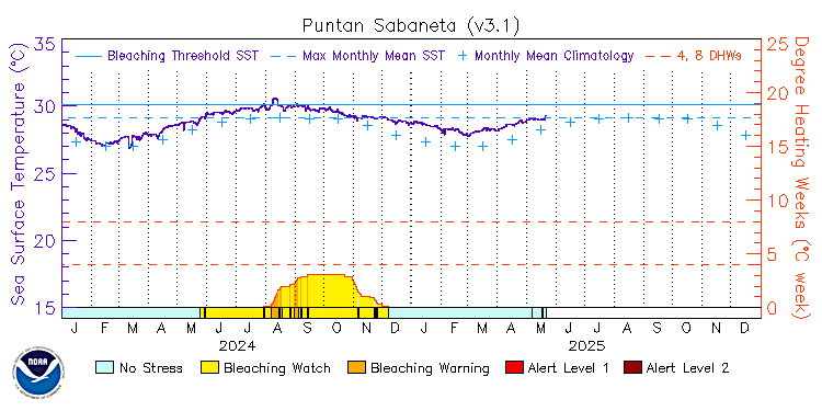 current SST time series