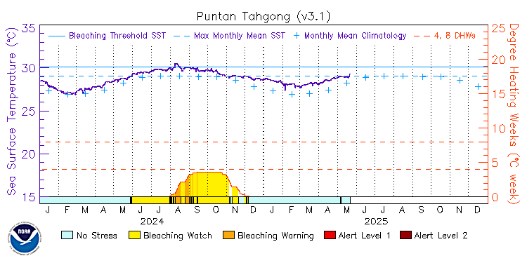 current SST time series