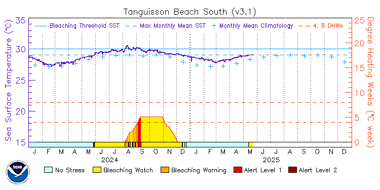 current SST time series
