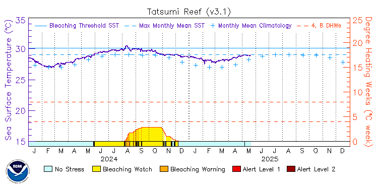 current SST time series