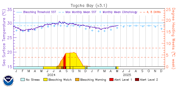 current SST time series