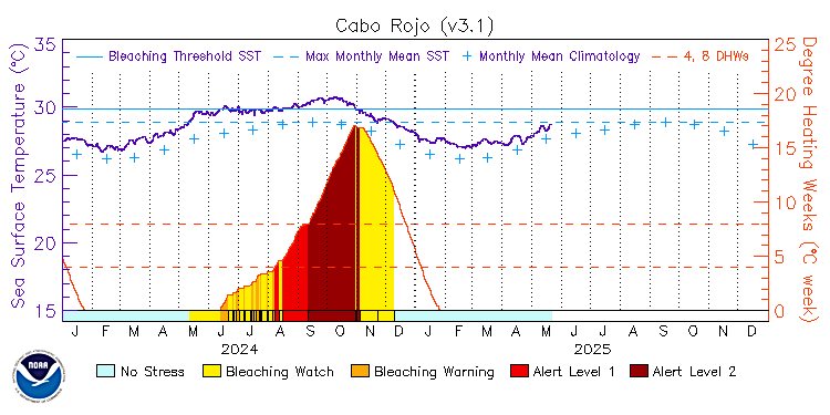 current SST time series
