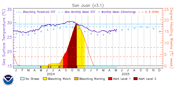 current SST time series