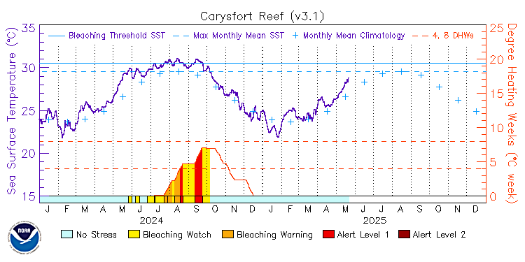 current SST time series
