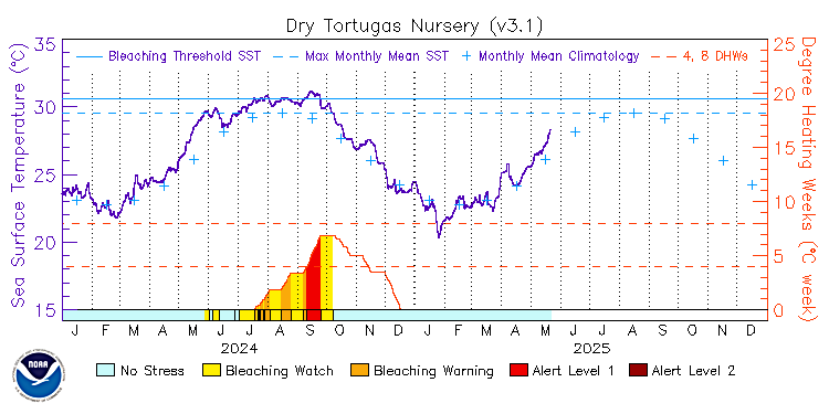 current SST time series